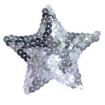 Bad Kitty Pasties Silver Star