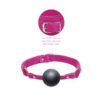 Pink Ball Gag